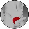 ElectraStim Silicone Fusion Viper Cock Shield - Image 6